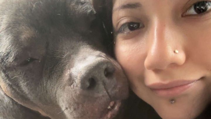 Help a Rescued Dog Get Emergency Vet Care campaign photo, 1 of 8