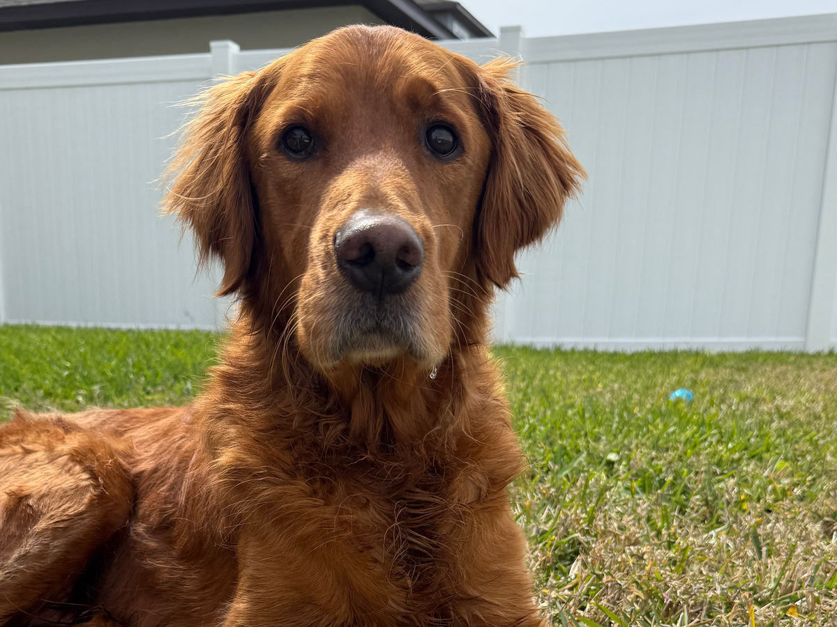 Please help Fisher if you can campaign photo, 1 of 3