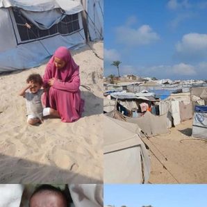 Saja Alnahhal