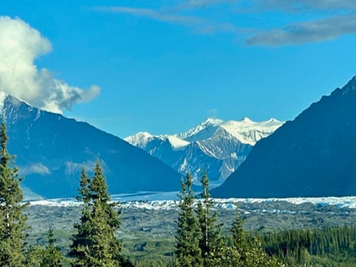 Fundraiser’s main image