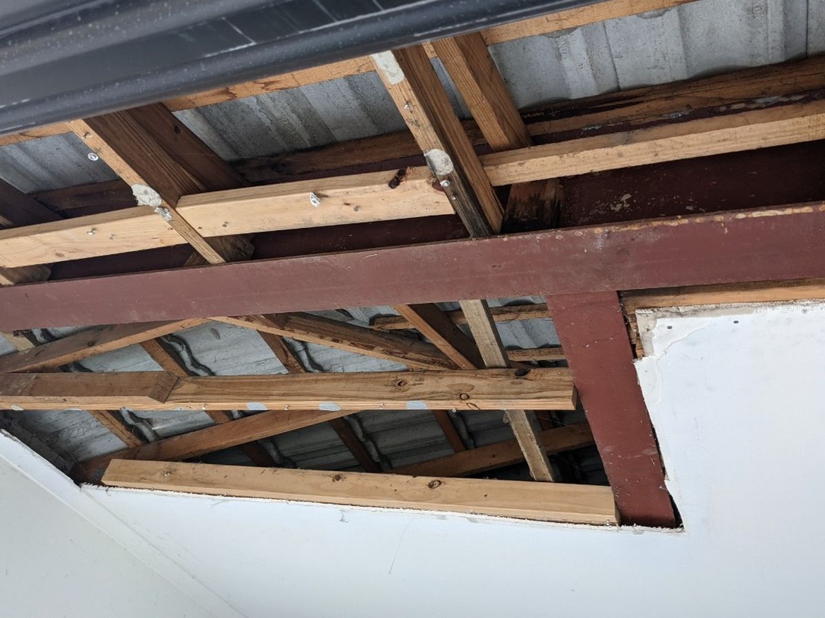 Help squid repair their Roof campaign photo, 1 of 2