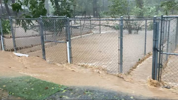 Main fundraiser photo