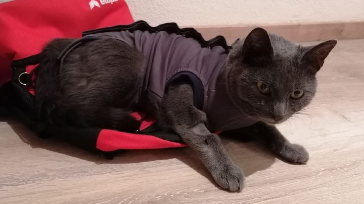 Main fundraiser photo