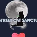 Profile photo of Jennifer Mccarthy