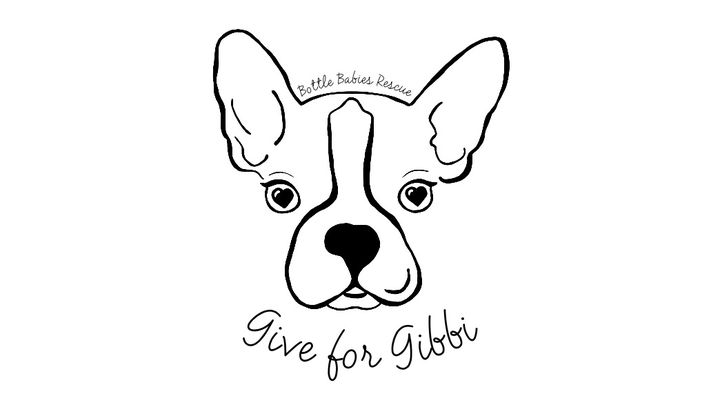 Fundraiser by Danielle Copus : Give for Gibbi