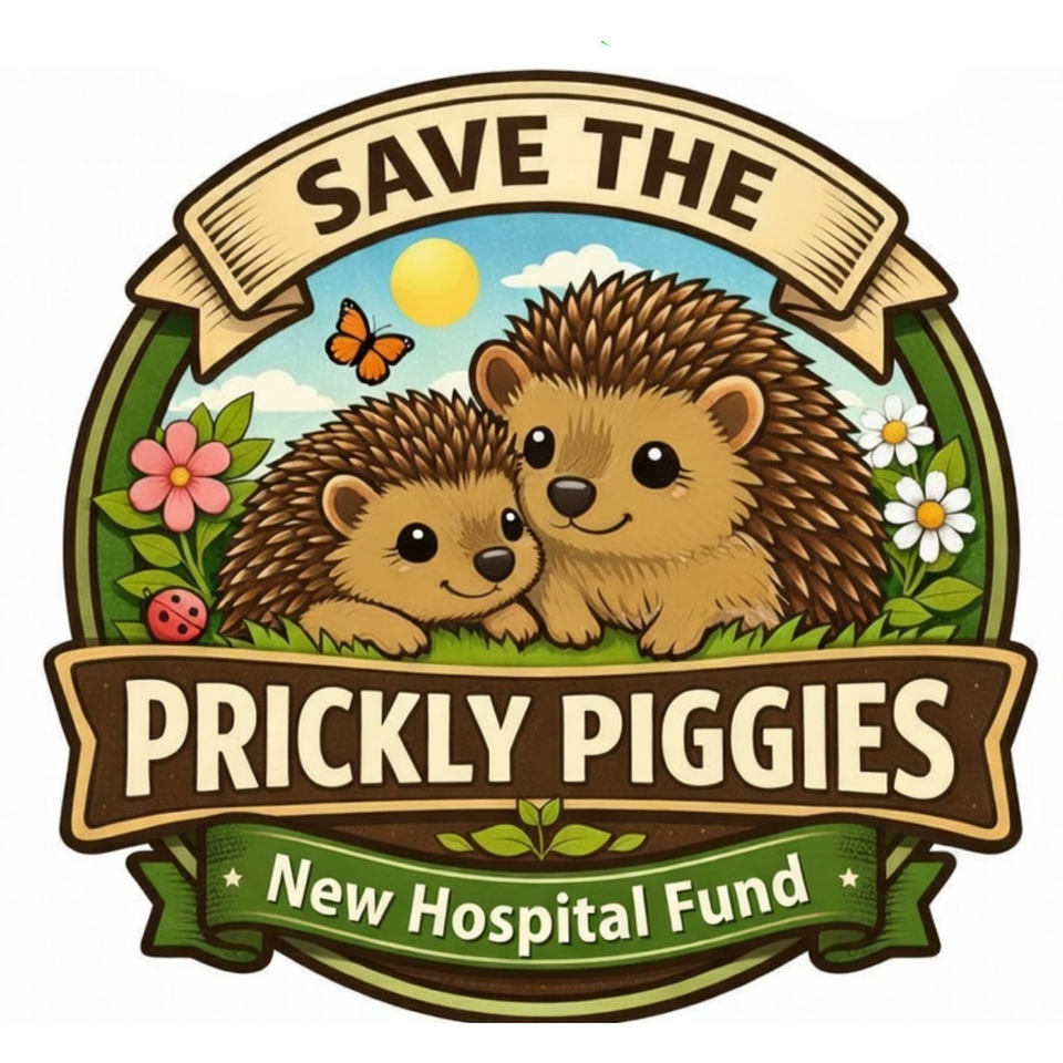 Andrews Hedgehog Hospital