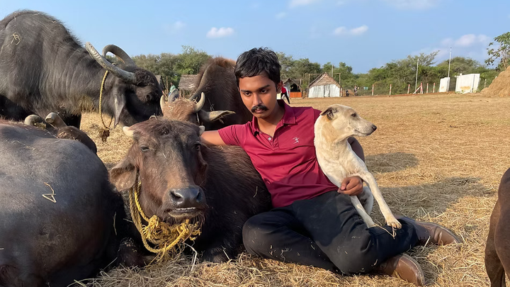Help Feed & Heal Rescued Animals @Almighty Animal Sanctuary campaign photo, 1 of 5