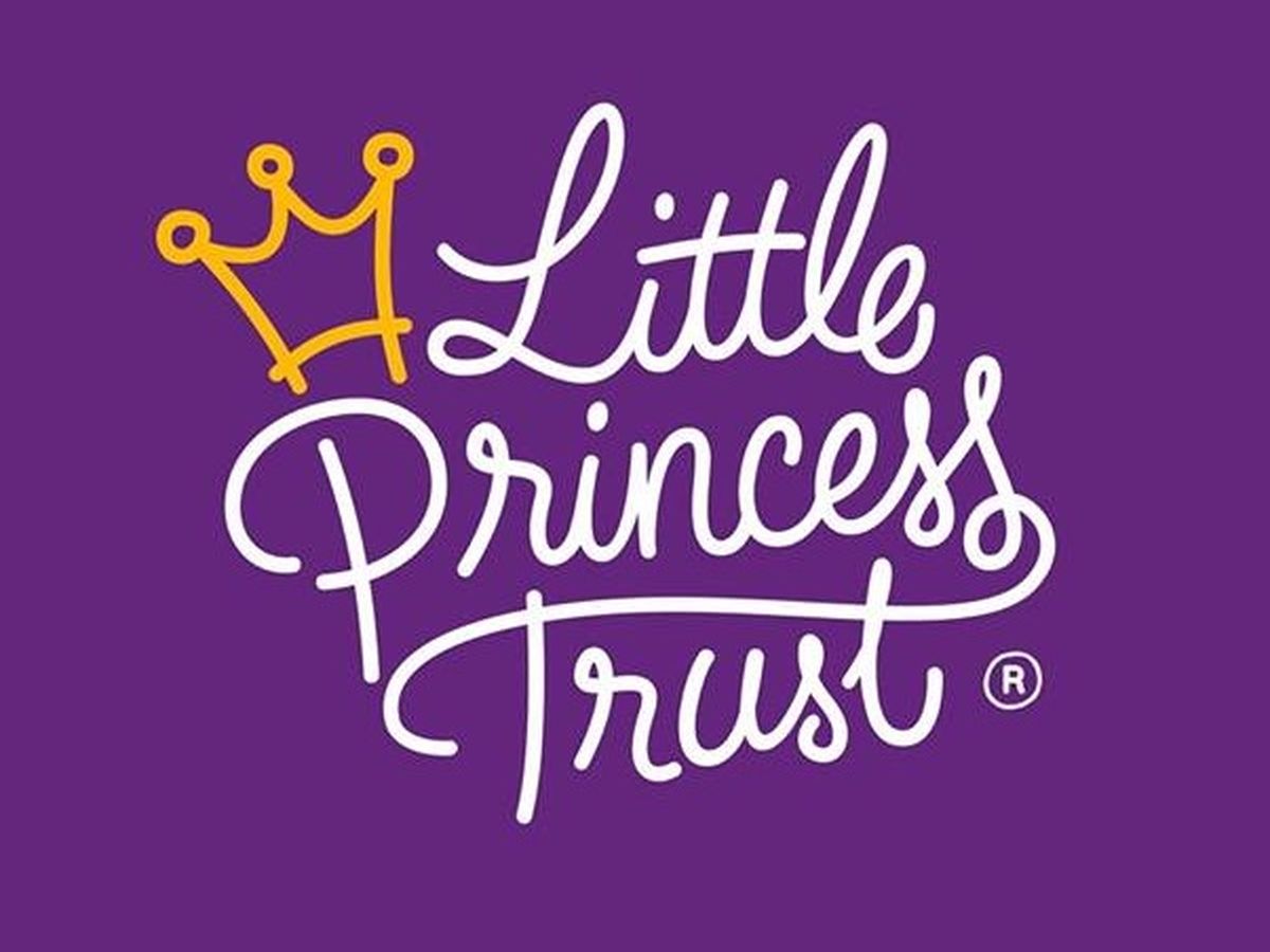 Fundraiser’s main image