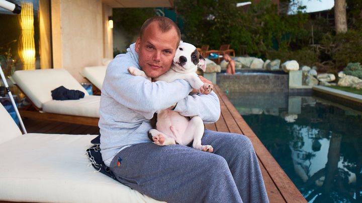 Saving Aviciis dog from cancer campaign photo, 1 of 8