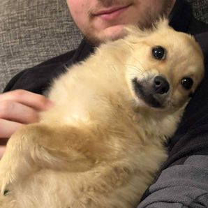 GoFundMe profile picture for @buster