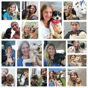 Fin_Feather_And_Fur_Rescue Help