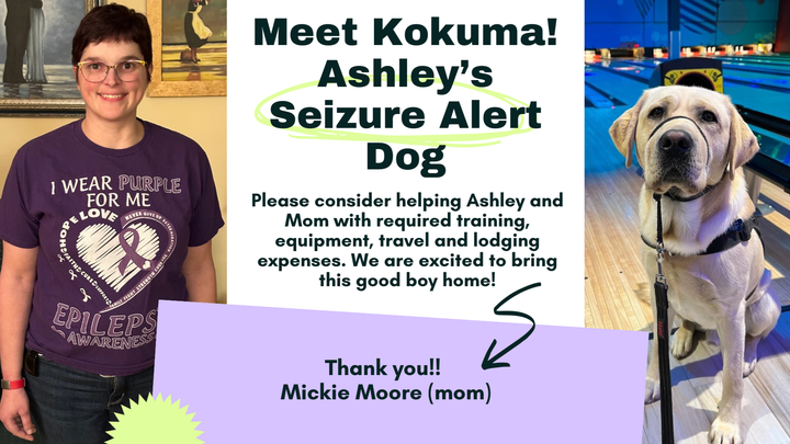 Main fundraiser photo