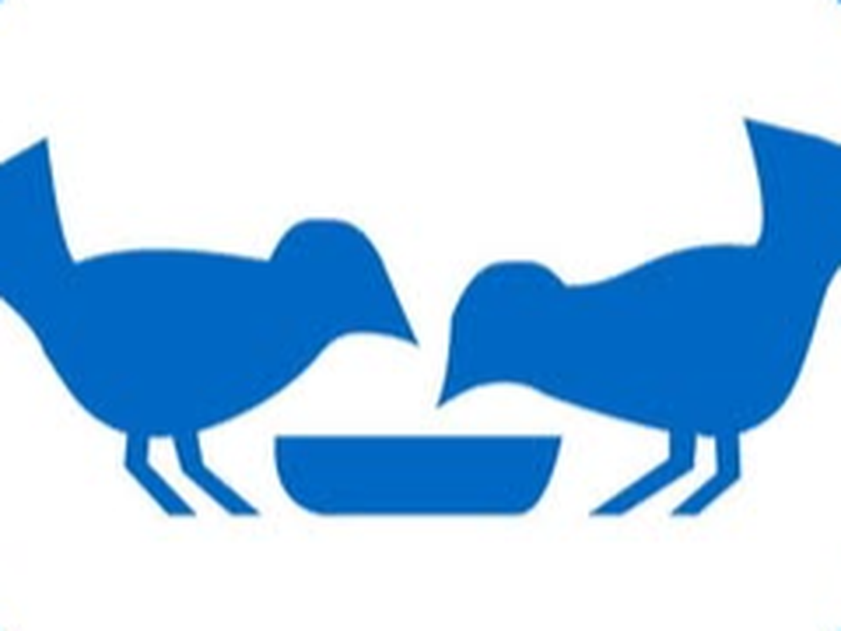 Fundraiser’s main image