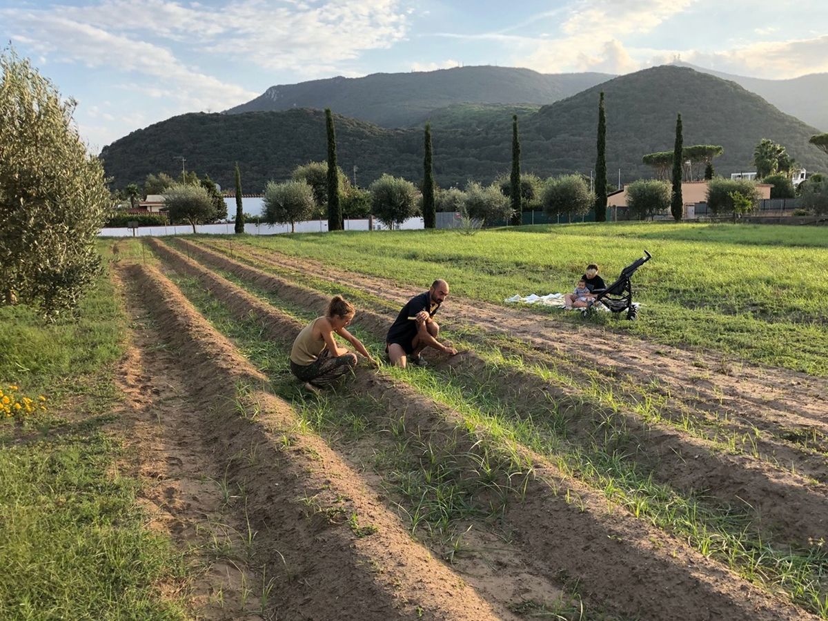 fundraiser by alexander tombolillo zafferano del circeo