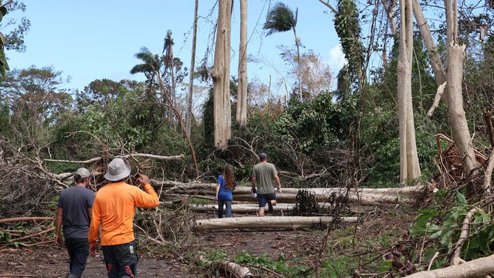 Support Makanalani Kids in Recovery from Hurricane Lowell campaign photo, 1 of 3