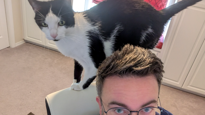 Help Momo Defeat Blood Parasites! campaign photo, 1 of 7