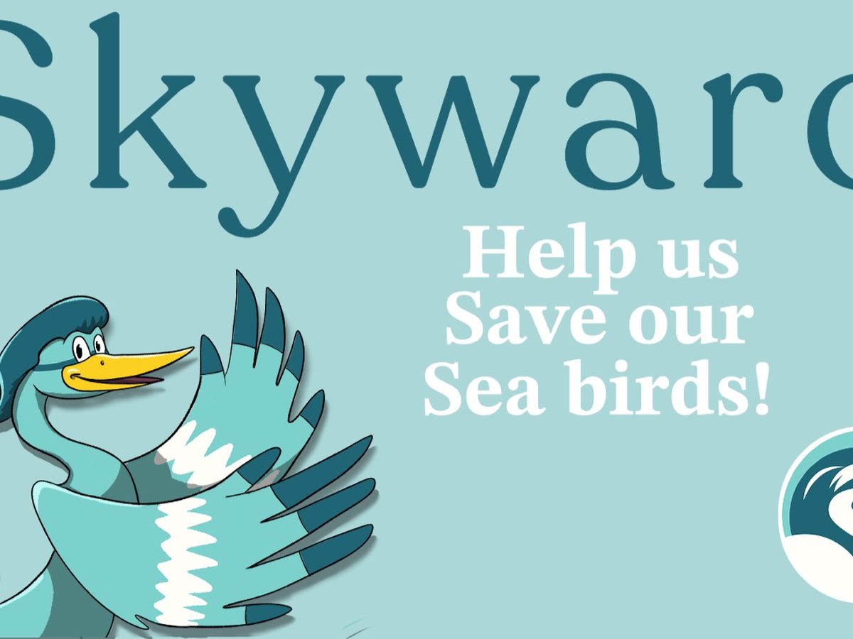 Fundraiser’s main image