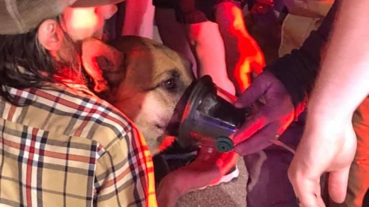 Main fundraiser photo