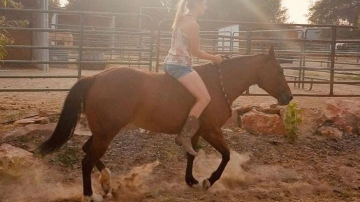 Hoofdafbeelding inzamelingsactie