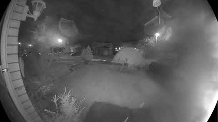 Seeking Justice for my Family Targeted in Arson Attack video thumbnail, 1 of 12