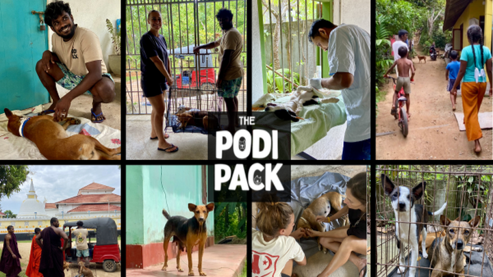 Together for Animals - The Podi Pack Mission campaign photo, 1 of 8
