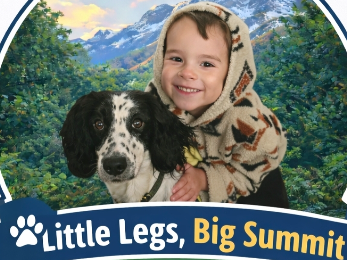 Fundraiser’s main image