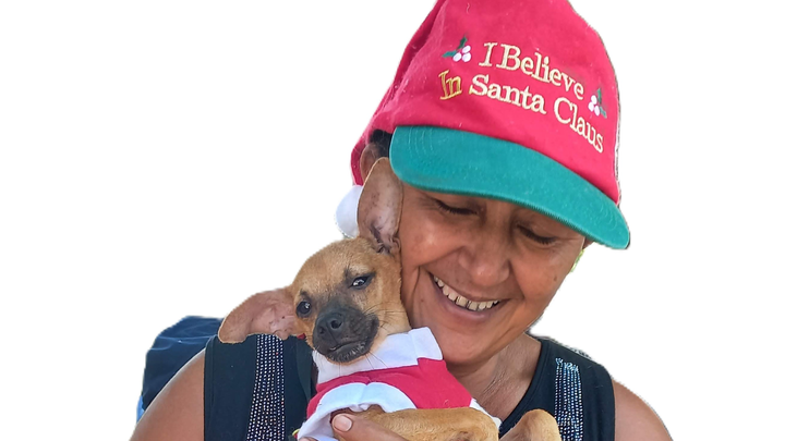 Build a New Refuge for Rescue Dogs Who Are Losing Their Home campaign photo, 1 of 8