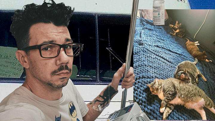 Help Me and my 4 Cats from being homeless due to illness campaign photo, 1 of 8
