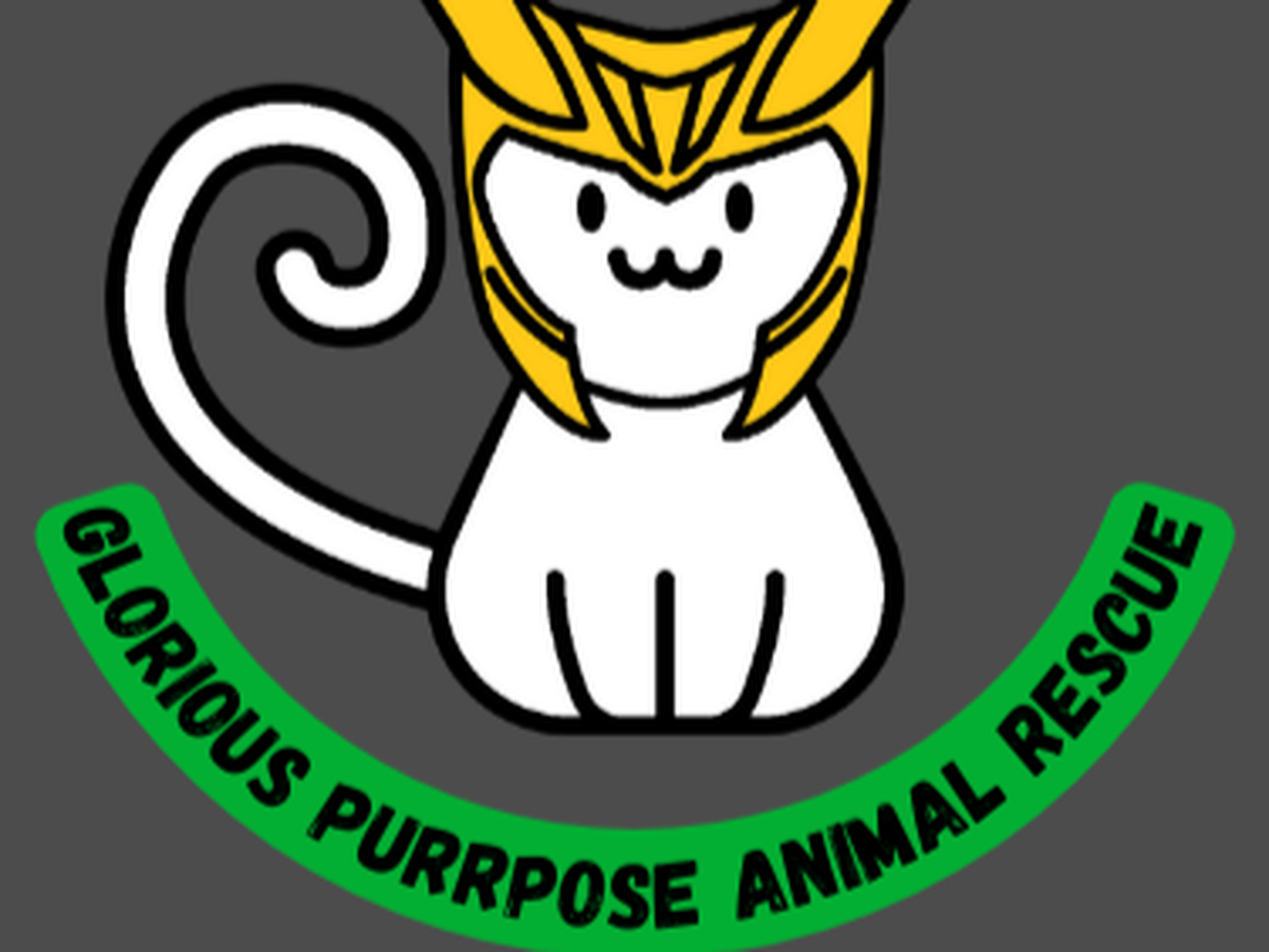 Fundraiser’s main image