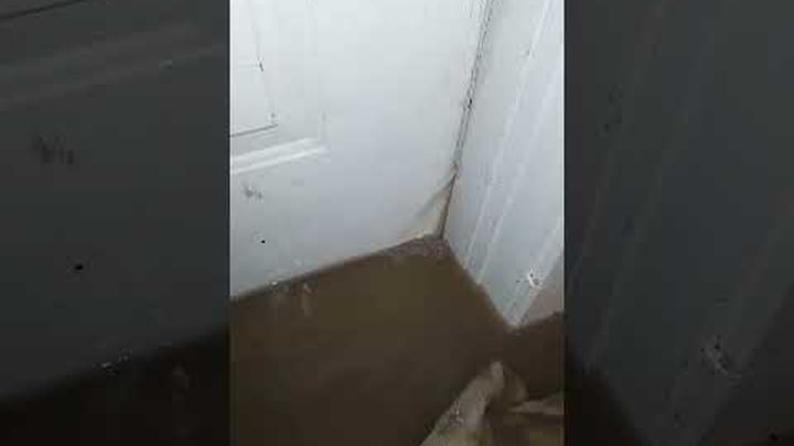Foto principale della raccolta fondi