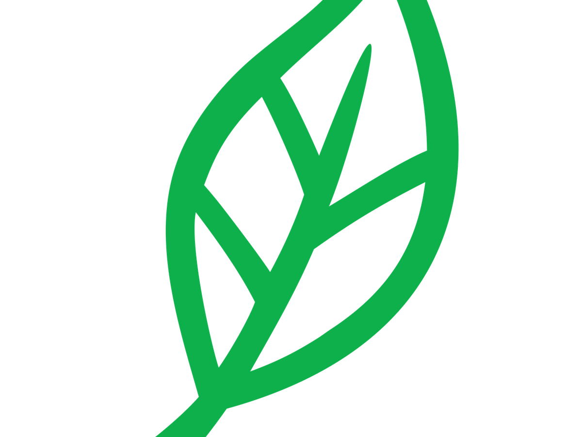 Fundraiser’s main image