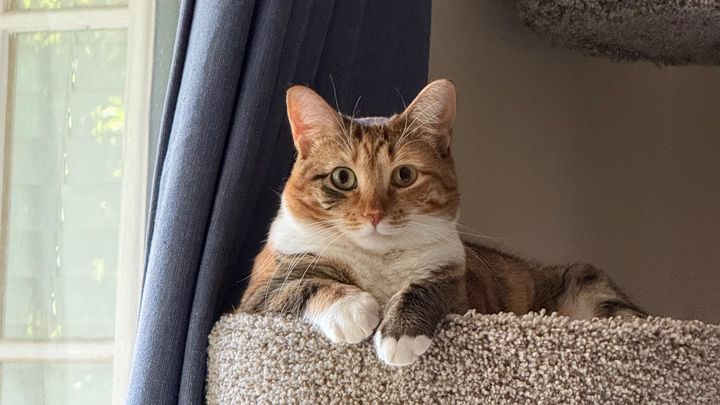 Help Rosemary Fight Lymphoma campaign photo, 1 of 5