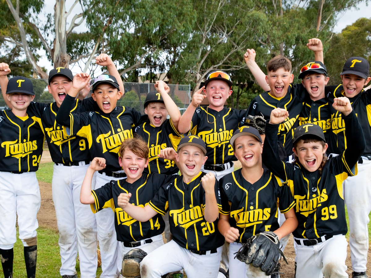 TWINS LL DEVELOPMENT STATE CHAMPIONS NEED YOU... AGAIN!!! campaign photo, 1 of 2