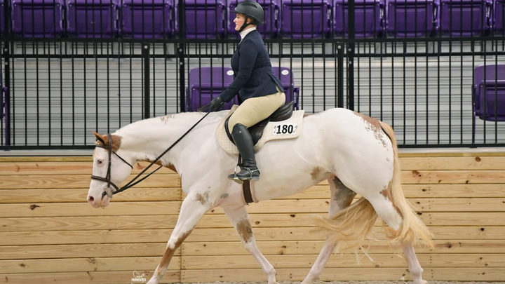 Help Gracyn and Martha Compete at The APHA World Show campaign photo, 1 of 6