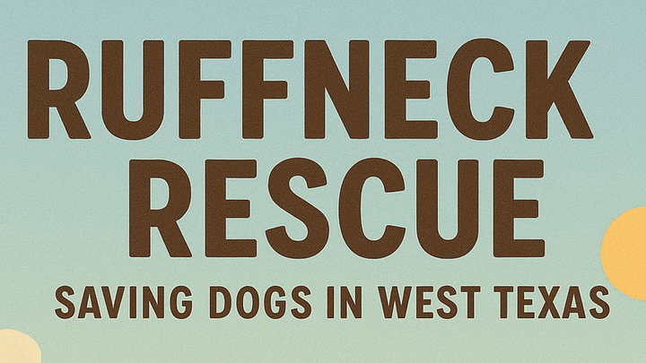 Support Ruffneck Rescue: Save Stray Dogs campaign photo, 1 of 8
