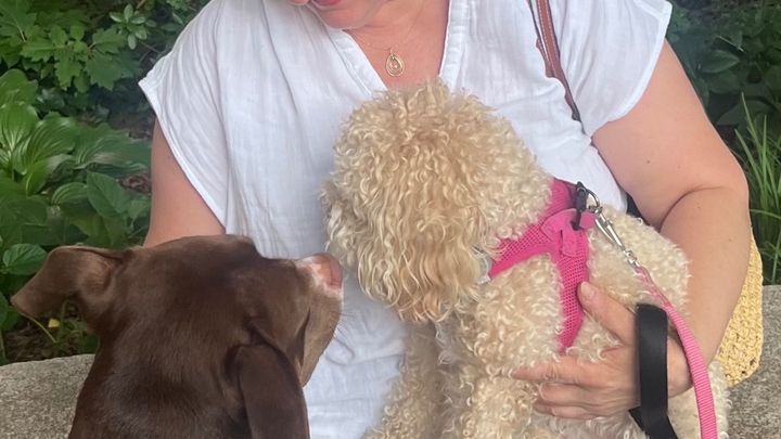 Help NYC Poet & Dog Walker Dana Fight Breast Cancer campaign photo, 1 of 7
