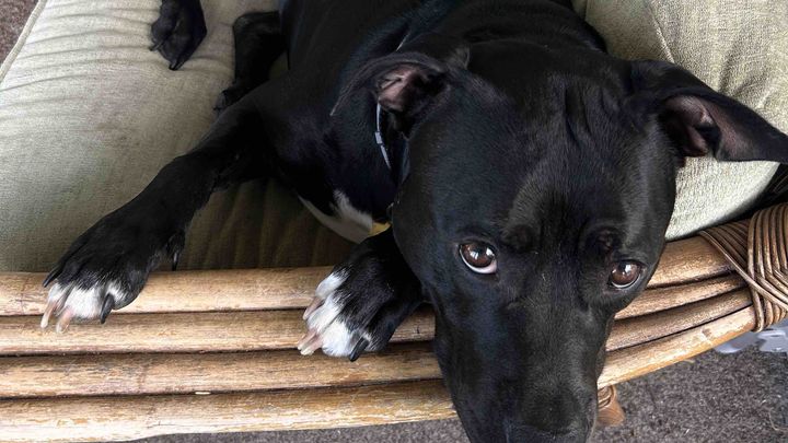 Help Rico Get the Care He Needs campaign photo, 1 of 8