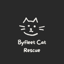 Paws For A Cause Byfleet Cat Rescue