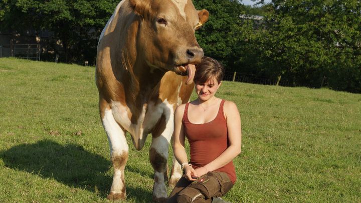 Main fundraiser photo