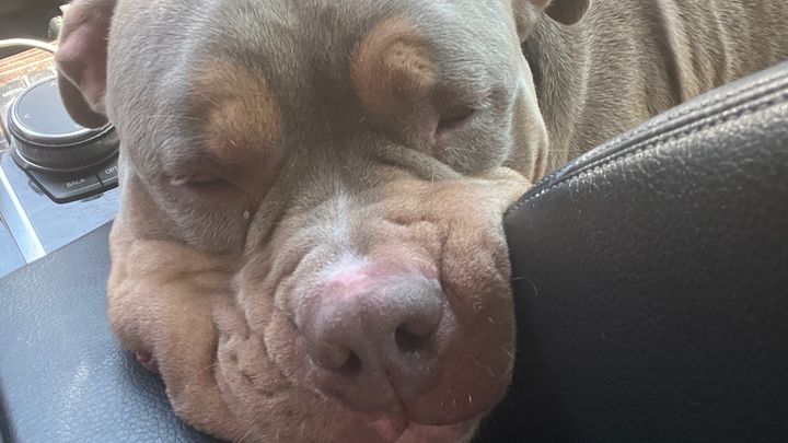 Help Rico get surgery campaign photo, 1 of 2