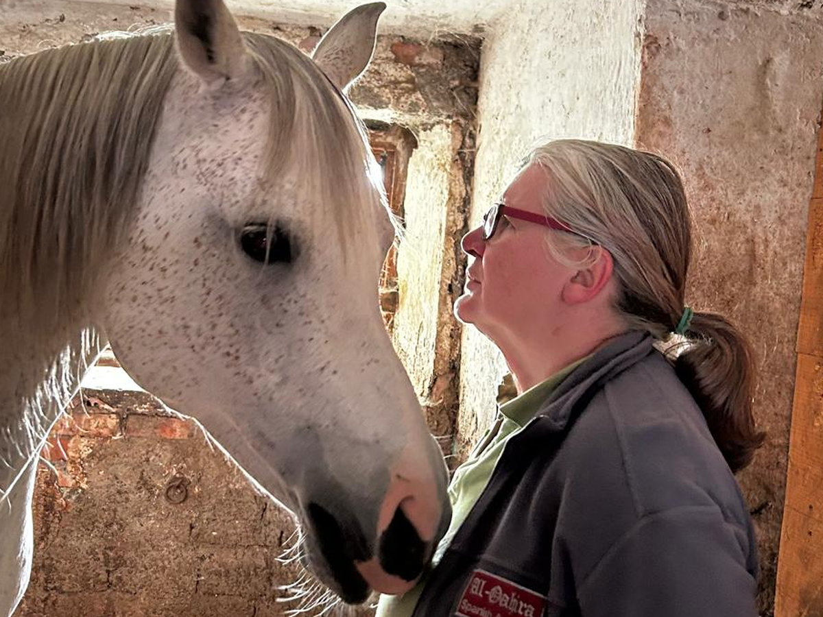 Hoofdafbeelding van de inzamelingsactie