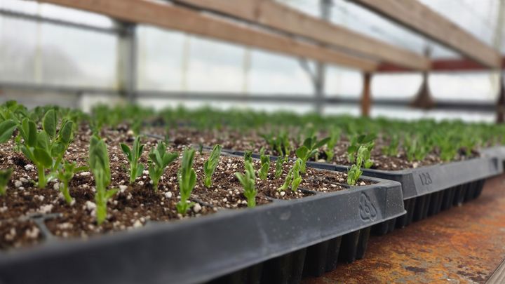 Help Cabrera Farms Recover from Devastating Theft campaign photo, 1 of 3