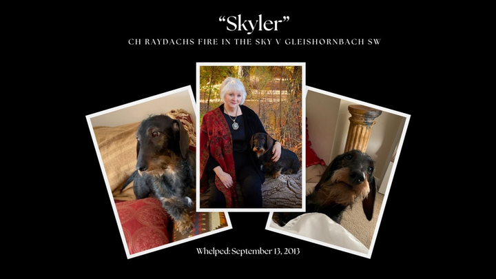 Skyler Was Heaven-Sent — Now She Needs Our Help campaign photo, 1 of 7