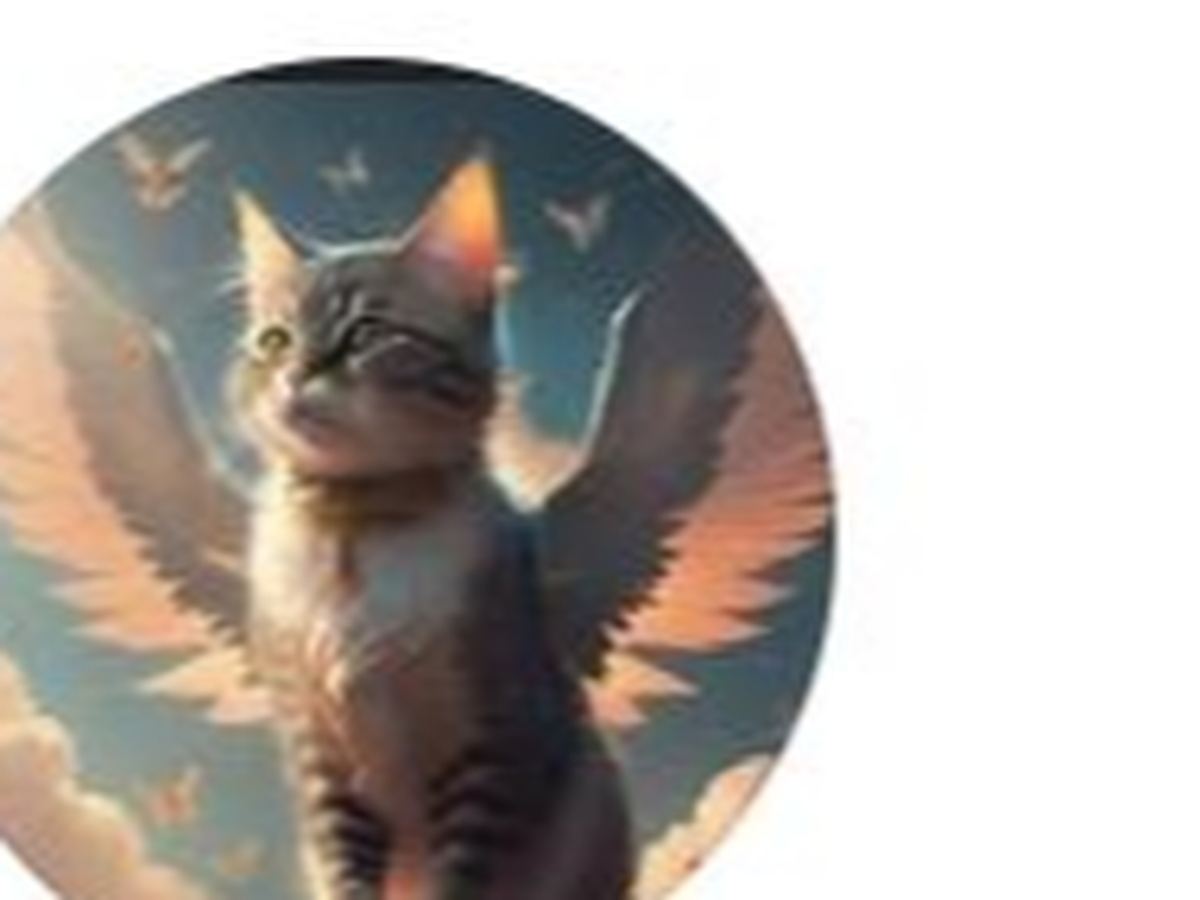 Fundraiser’s main image