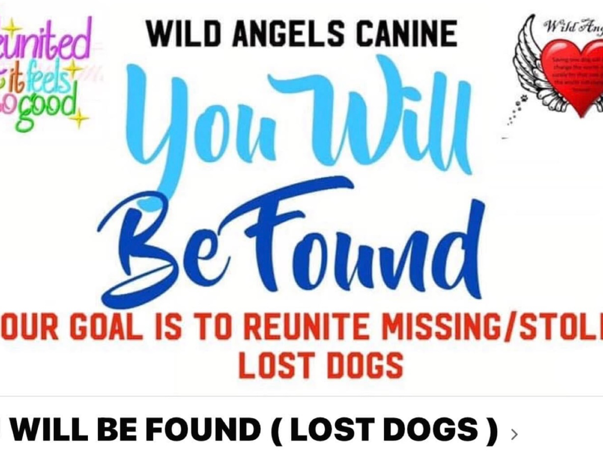 Fundraiser’s main image