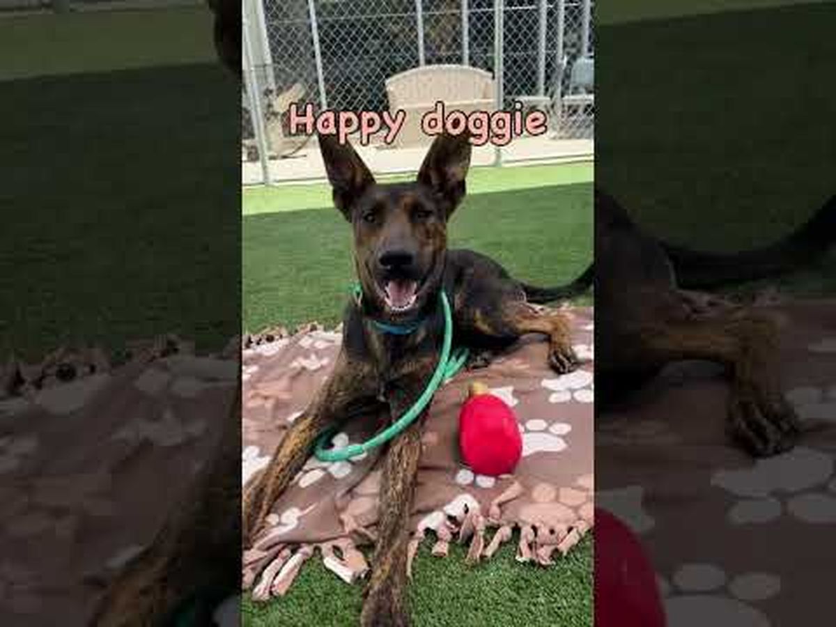 Fundraiser’s main image