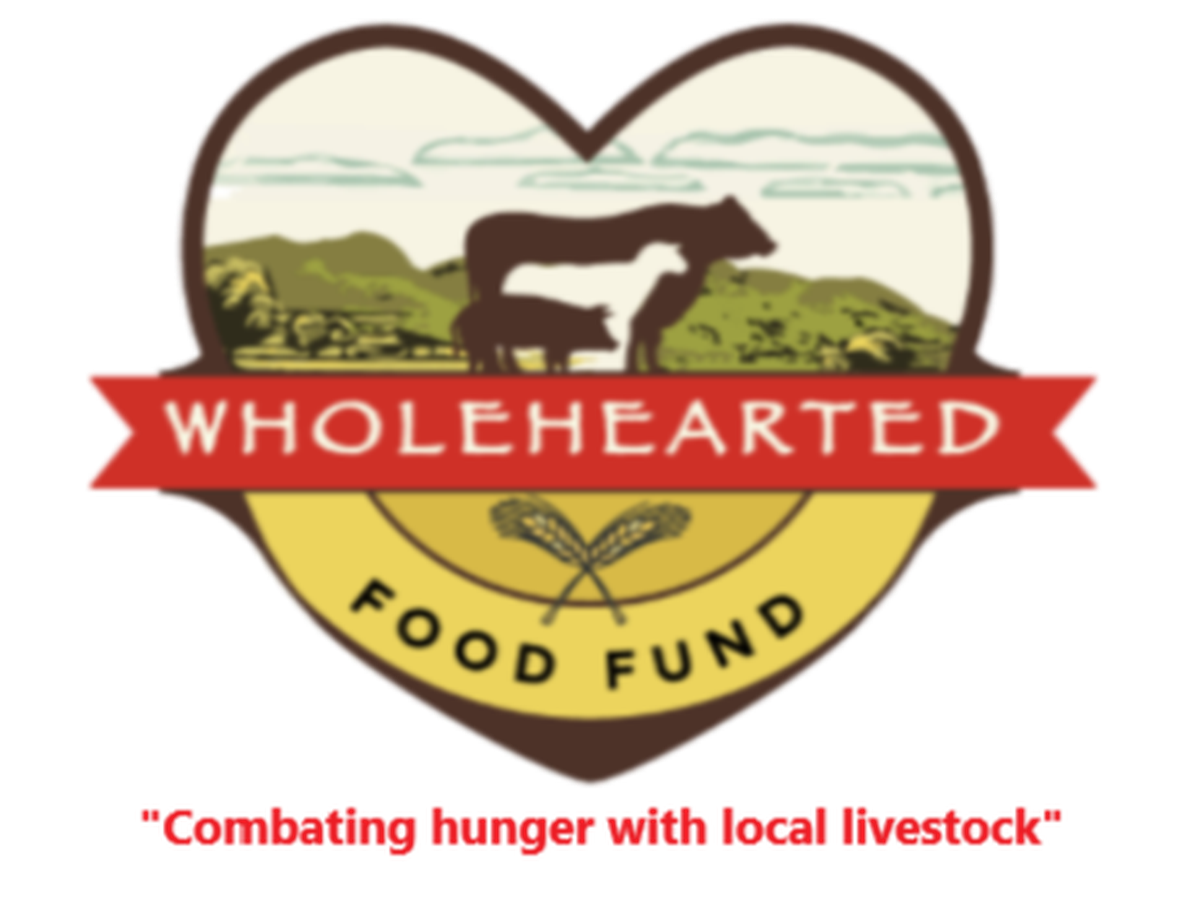 Fundraiser’s main image
