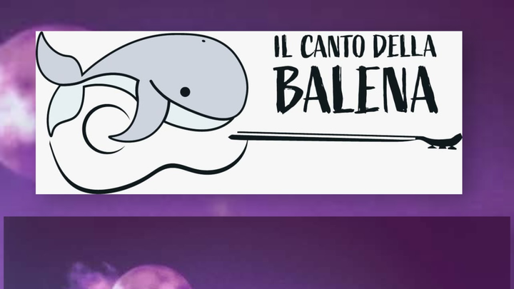 Foto della campagna Il canto della Balena, proteggiamo la musica dal vivo!, 1 di 4