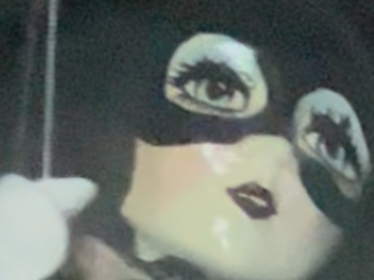 Fundraiser’s main image