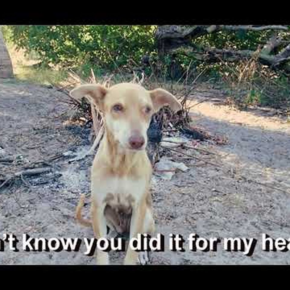 In ogni caso sempre nel mio cuore 🥹 #highschoolmusical #dettagli #davedere, image size:960x960